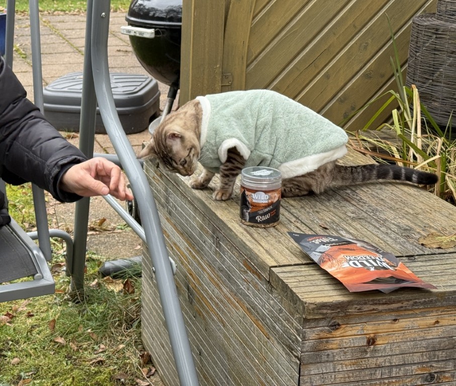 catsonly